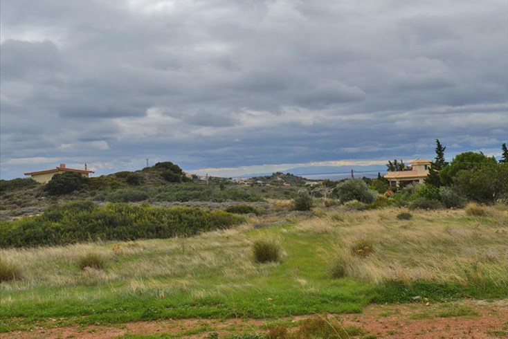 Realty photo 2
