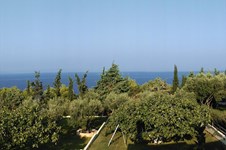 Property 14044 photo 1