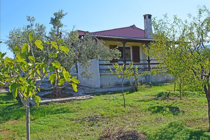 Realty photo 3