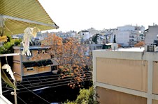 Property 14129 photo 6