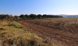 Γη 40000 μ² στα περίχωρα Θεσσαλονίκης