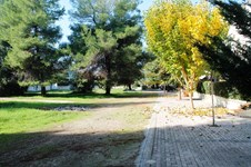 Property 14143 photo 11