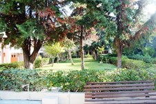 Property 14143 photo 14