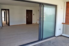 Property 14147 photo 7