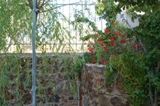 Property 1419 photo 9