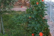 Property 1419 photo 10