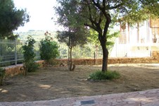 Property 1419 photo 15