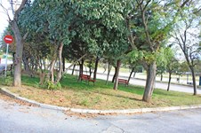 Property 14221 photo 19