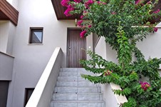 Property 14229 photo 4