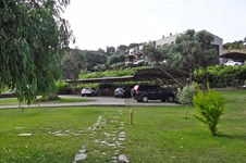 Property 14229 photo 16