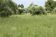 Property 1423 photo 3