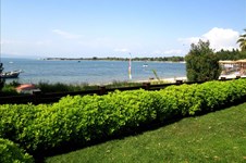 Property 1425 photo 5
