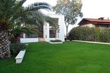Property 1425 photo 15