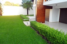 Property 1425 photo 19