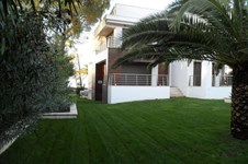 Property 1425 photo 12
