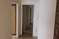 Property 1428 photo 7