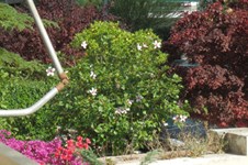 Property 1428 photo 14