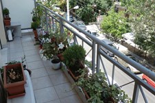Property 1429 photo 1