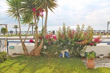Property 1430 photo 1
