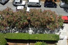 Property 1433 photo 14