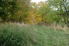 Property 14364 photo 9