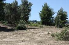Property 1437 photo 2