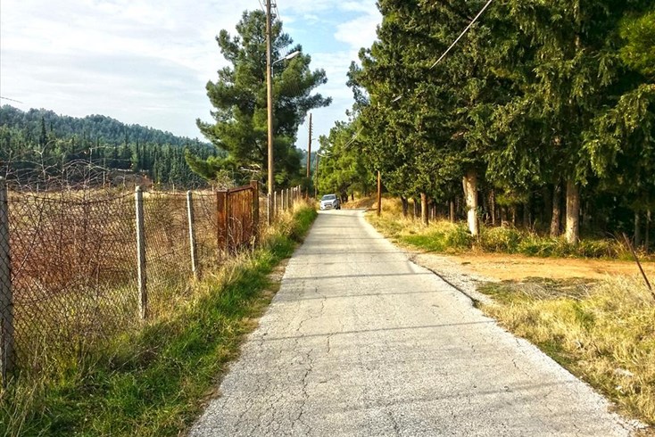 Realty photo 1