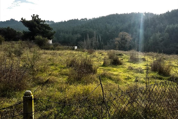 Realty photo 3