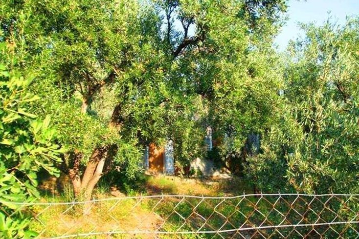 Realty photo 2