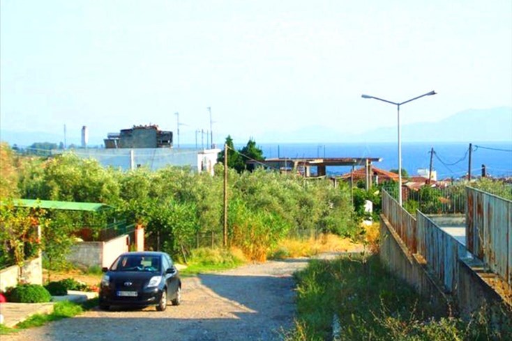 Realty photo 1
