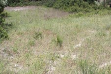 Property 1443 photo 3