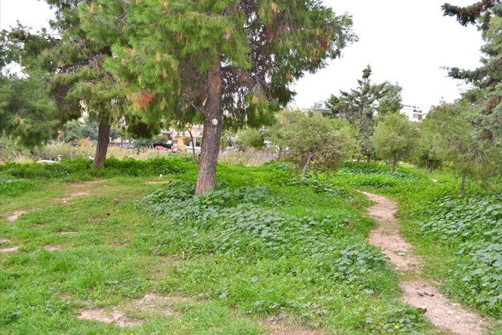 Realty photo 1