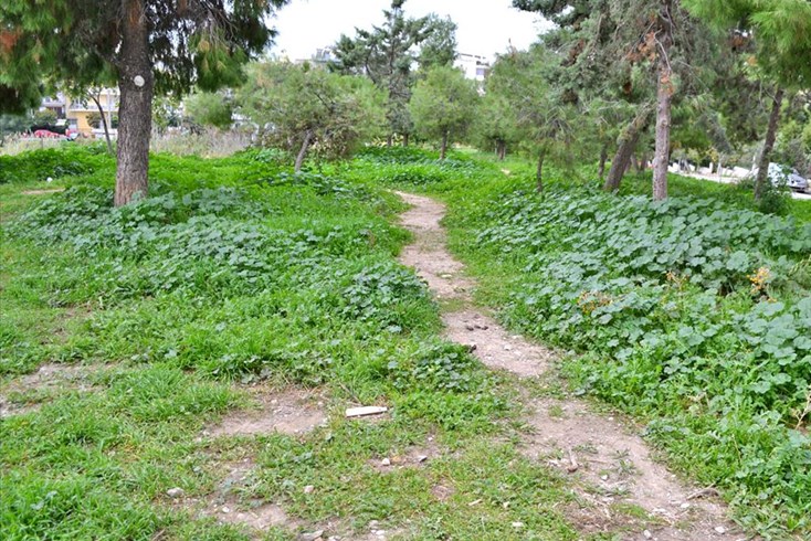 Realty photo 3