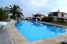 Property 14459 photo 1