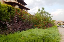 Property 14459 photo 24