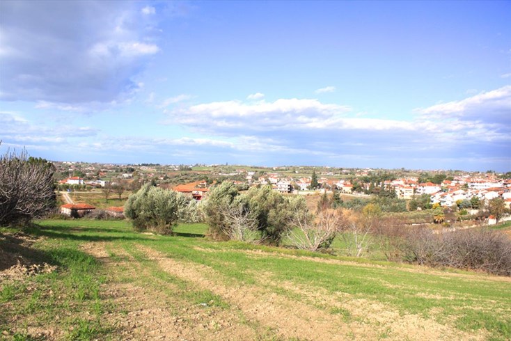 Realty photo 1