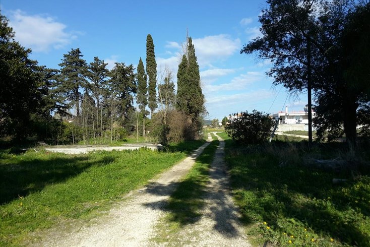 Realty photo 1