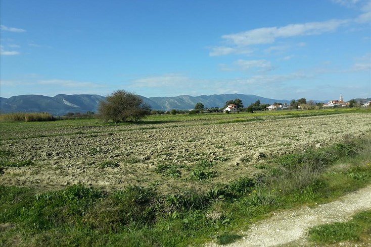 Realty photo 2