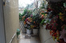 Property 1454 photo 5