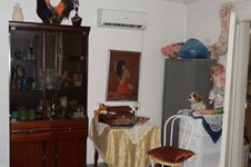 Property 1454 photo 7