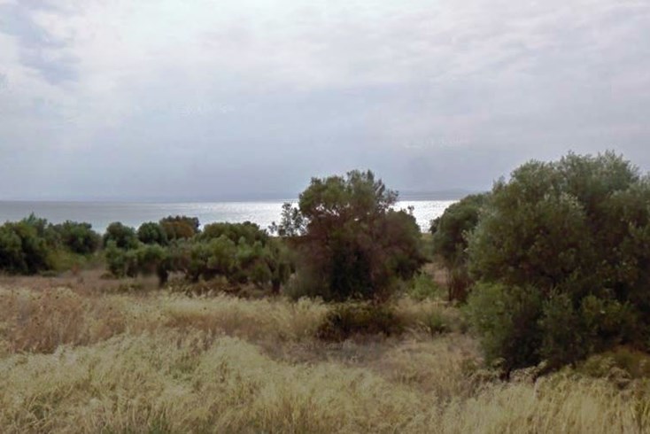 Realty photo 3