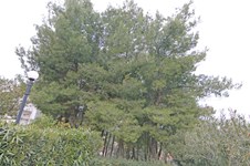 Property 14561 photo 12