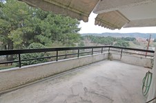 Property 14561 photo 1