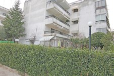 Property 14561 photo 2