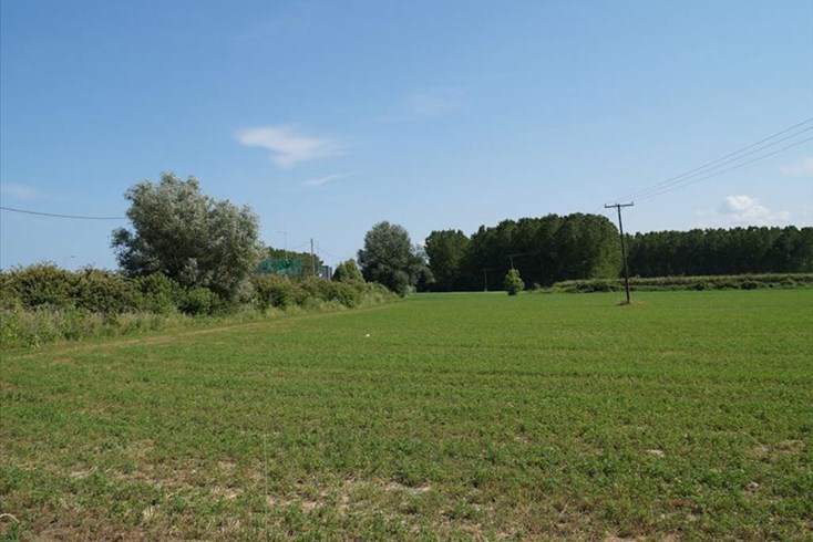 Realty photo 3