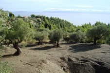 Land 1000 m² auf Sithonia (Chalkidiki)