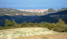 Γη 10000 μ² στην Κασσάνδρα