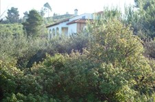 Property 14589 photo 5