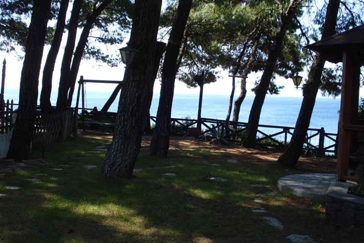 Realty photo 2