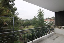 Property 14658 photo 2